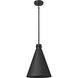 Axston 1 Light 12 inch Textured Black Outdoor Hanging Lantern